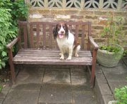 click for a larger view